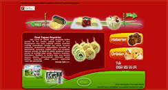 Desktop Screenshot of birincisut.com